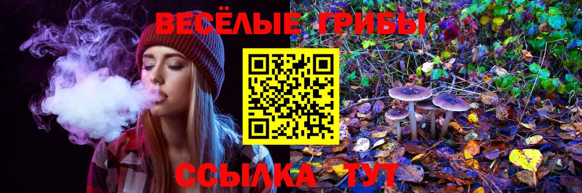 Псилоцибиновые грибы ЛСД Красноуфимск