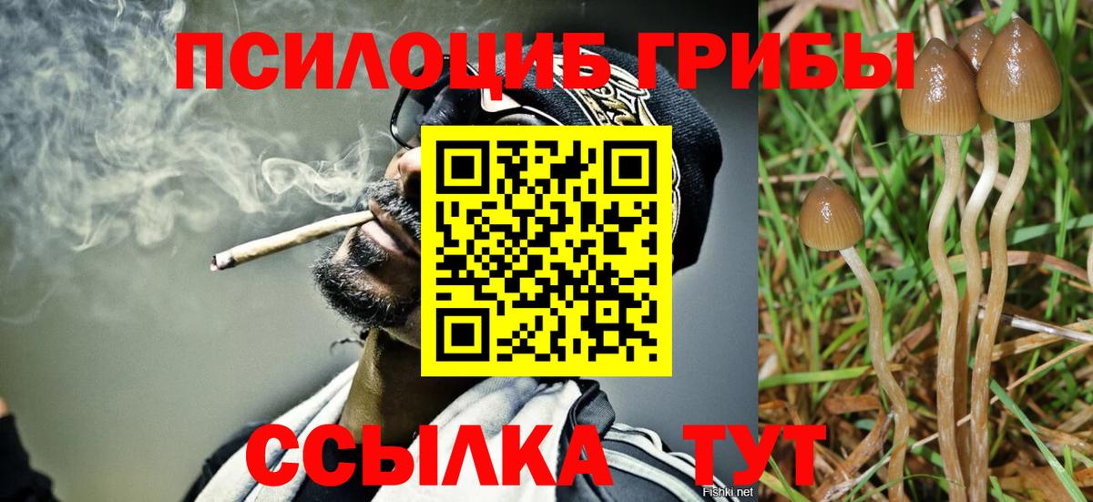 Галлюциногенные грибы MAGIC MUSHROOMS  Псилоцибиновые грибы MAGIC MUSHROOMS  Красноуфимск  Вход с VPN 